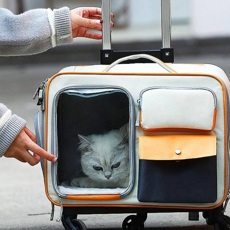 Pet Rolling Carrier Backpack With Wheels Trolley Bag  Petrkl  .