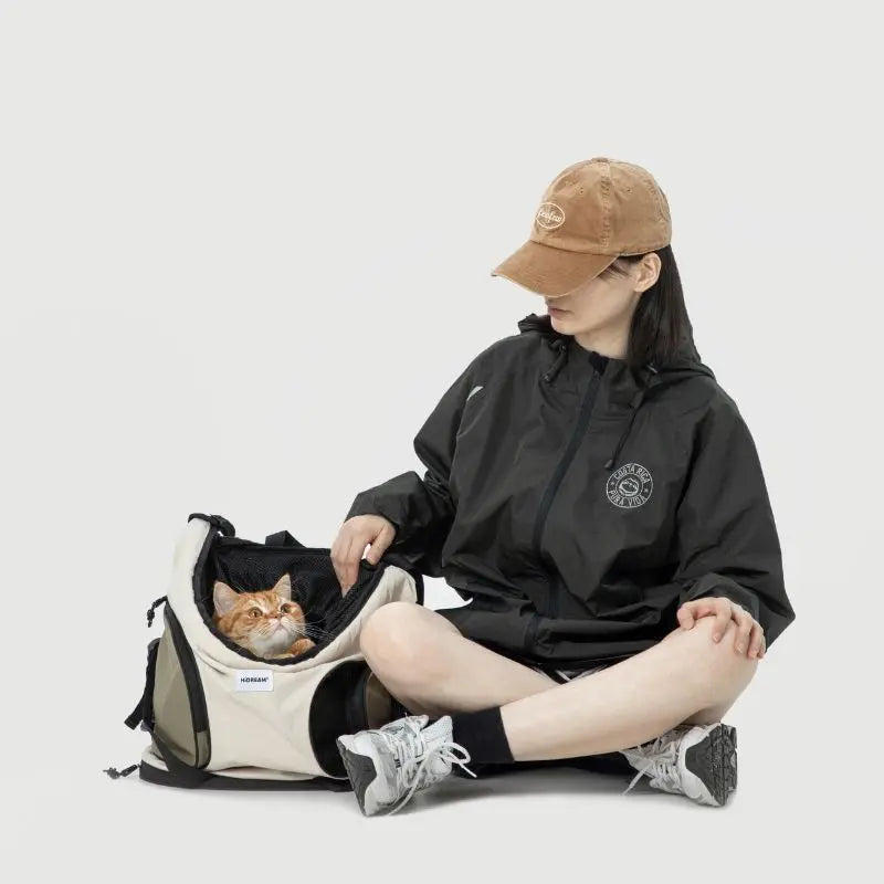 Cat comfortably resting inside cat carrier front pack travel backpack