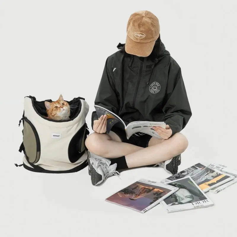 Curious cat peeking out from cat carrier and gazing at its human