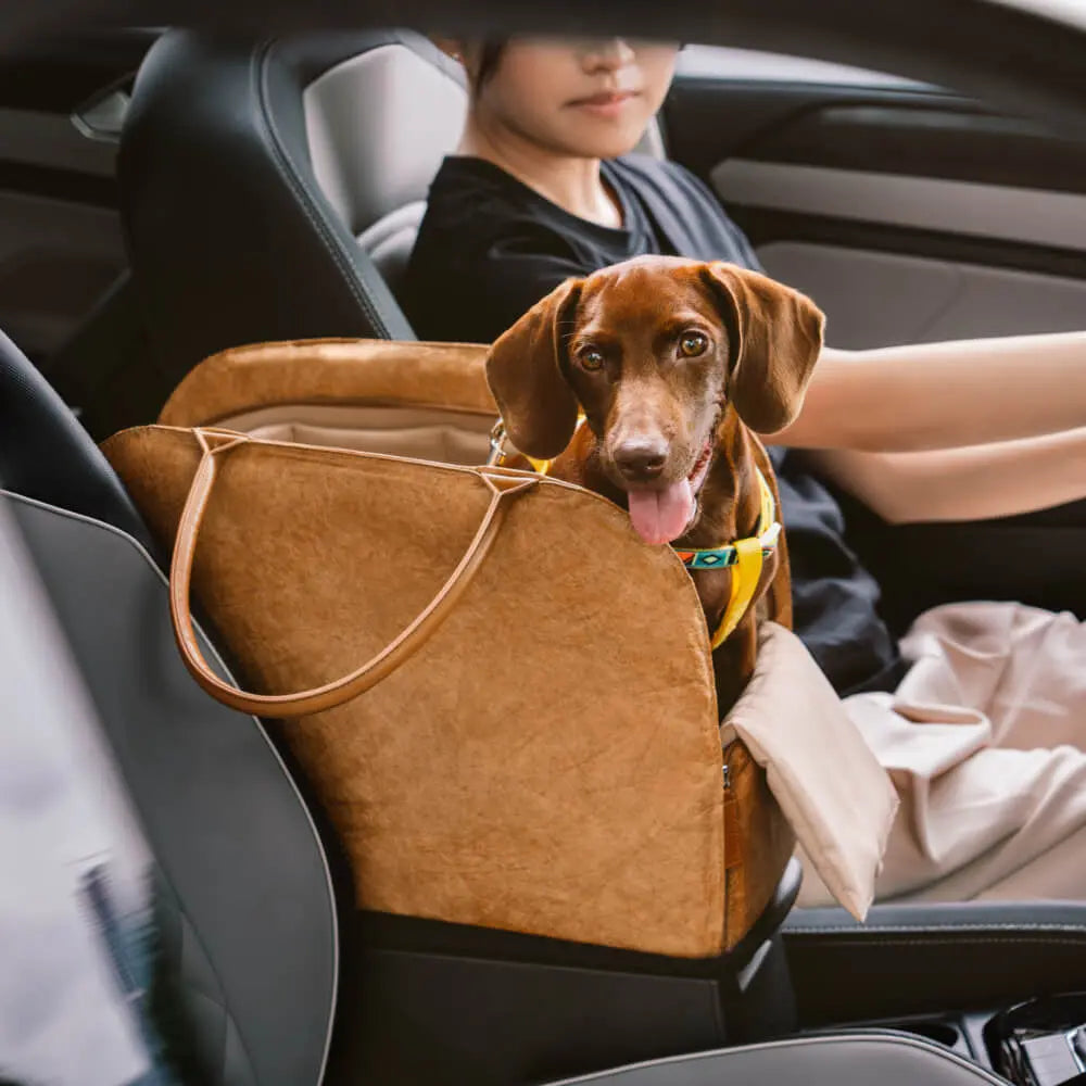 Dog Car Bed & Travel Carrier – EcoRoam Multi‑Functional Dog Travel Bag petrkl 21
