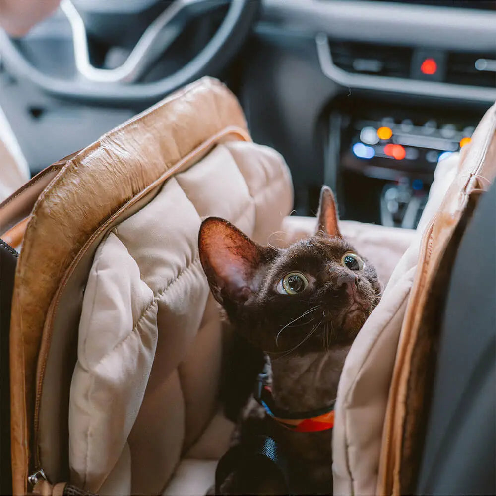 Dog Car Bed & Travel Carrier – EcoRoam Multi‑Functional Dog Travel Bag petrkl 22