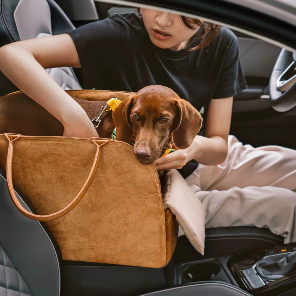 Dog Car Bed & Travel Carrier – EcoRoam Multi‑Functional Dog Travel Bag petrkl 6