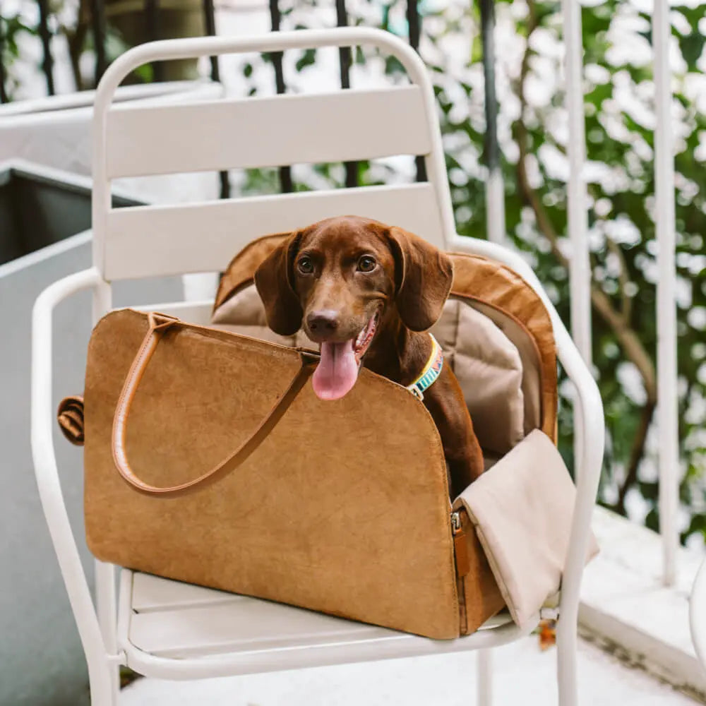 Dog Car Bed & Travel Carrier – EcoRoam Multi‑Functional Dog Travel Bag petrkl 7