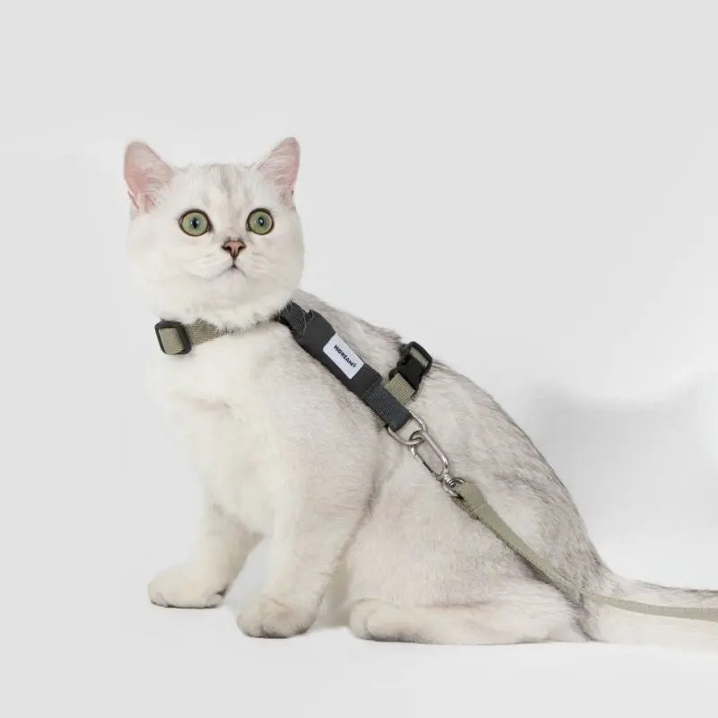 Eco-Friendly Cat Harness & Leash Set gray cat