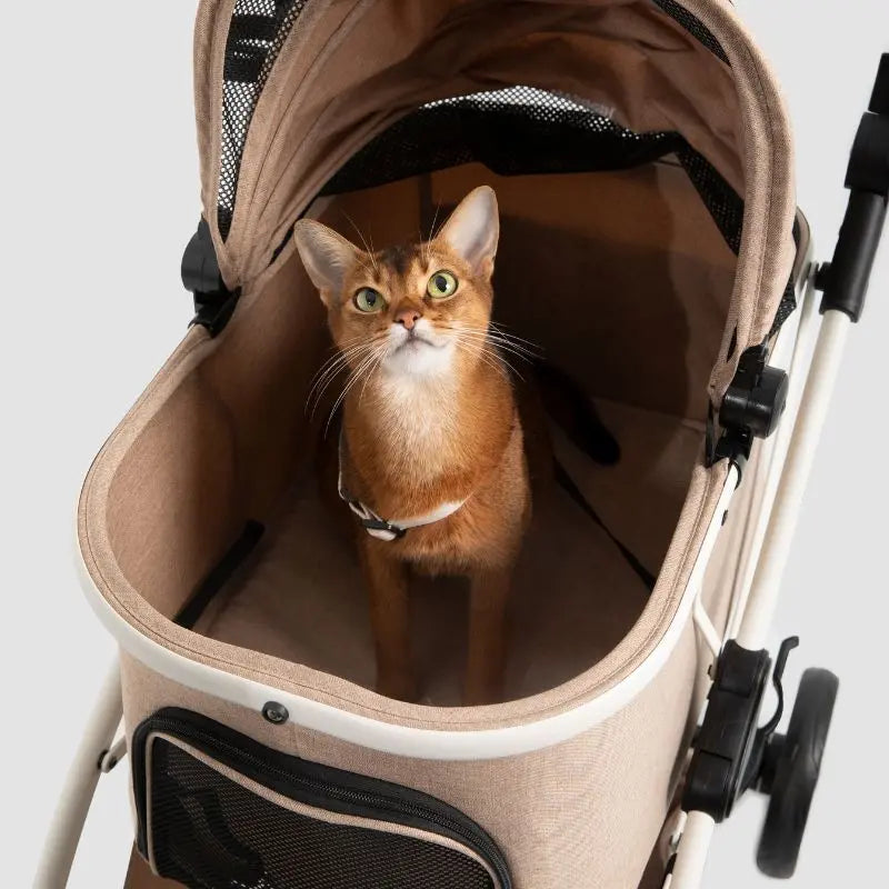 Luxury Portable Fold Pet Stroller  Petrkl  .