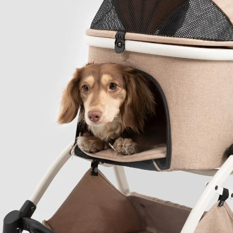 Luxury Portable Fold Pet Stroller  Petrkl  .
