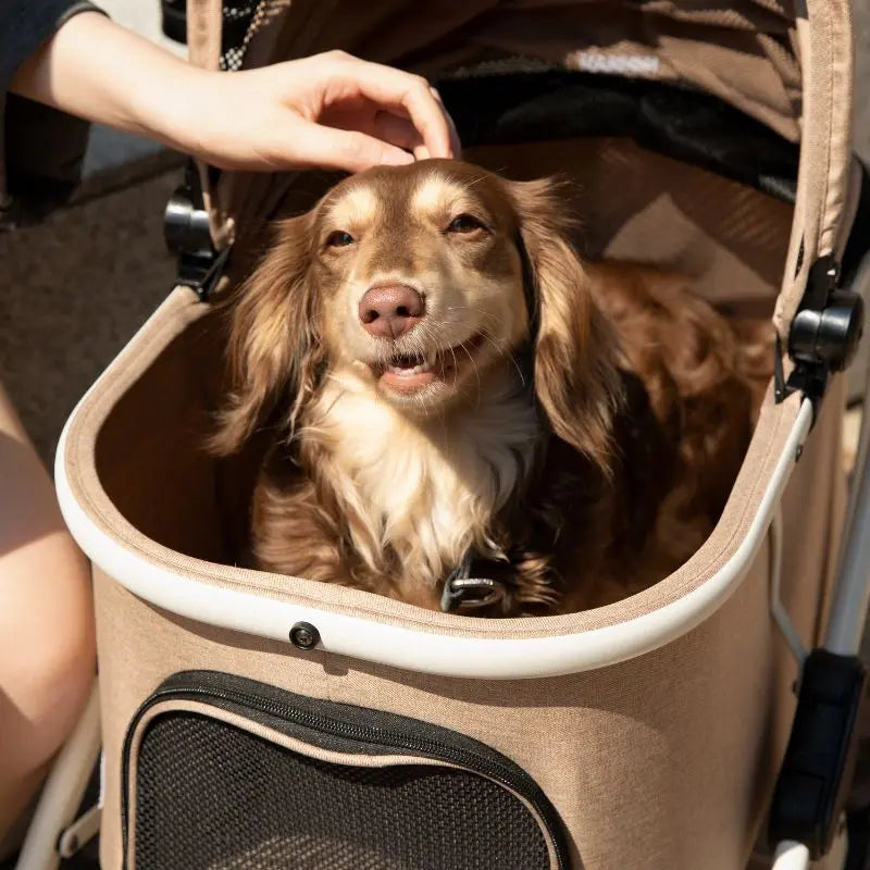 Luxury Portable Fold Pet Stroller  Petrkl  .