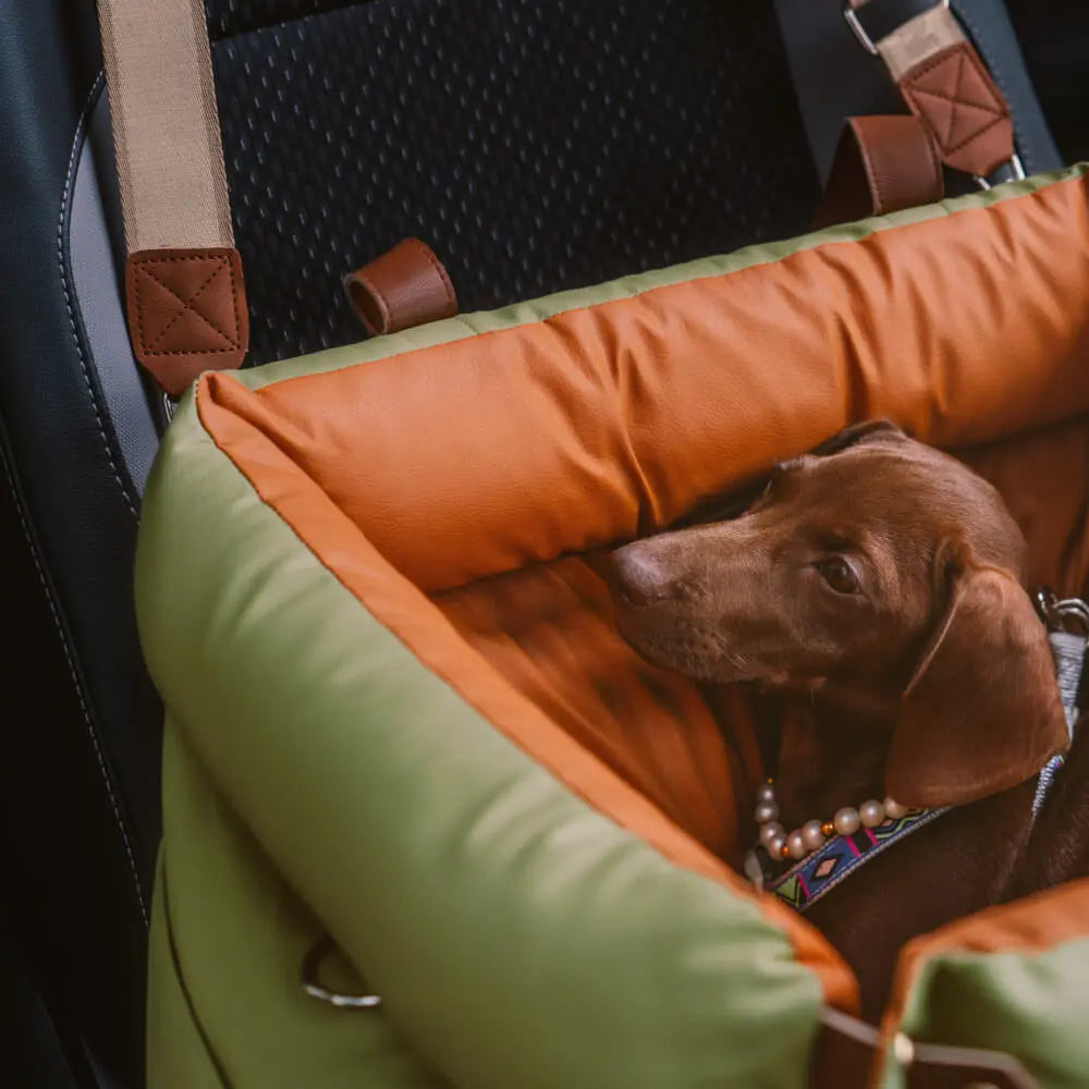 PawVoyage dog carrier bed with dog looking out car window
