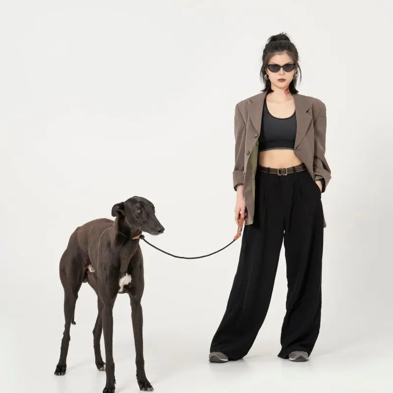 Petrkl™ CommandLoop– Premium Slip Lead Dog Leash with Leather Handle petrkl 1