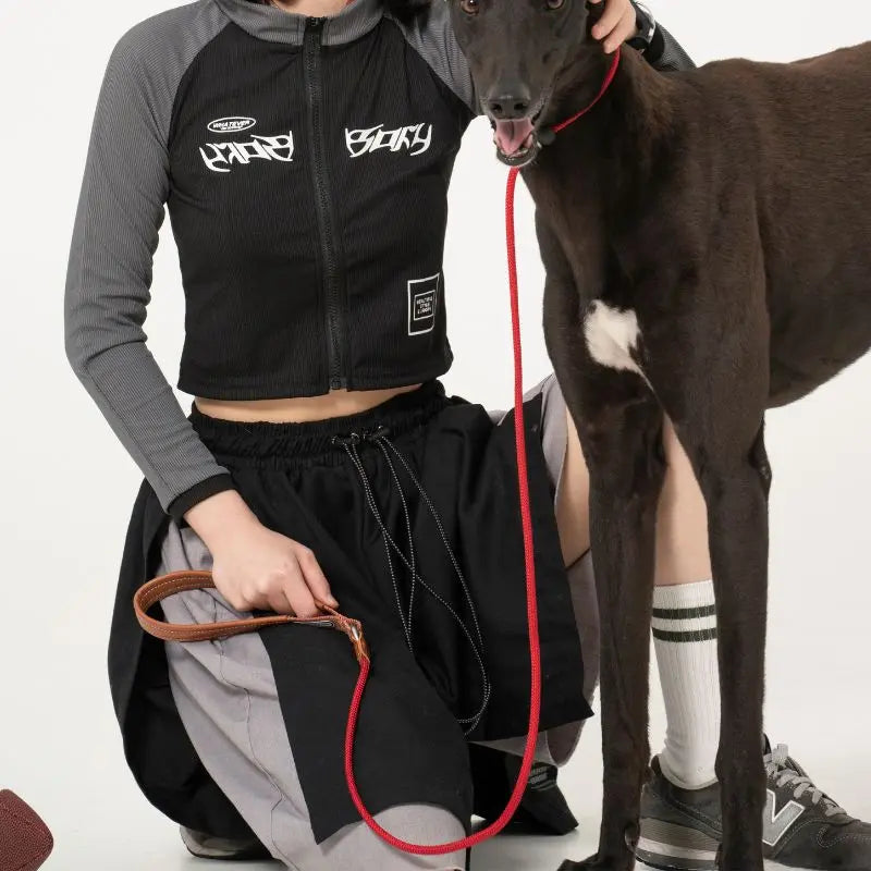 Petrkl™ CommandLoop– Premium Slip Lead Dog Leash with Leather Handle petrkl 10