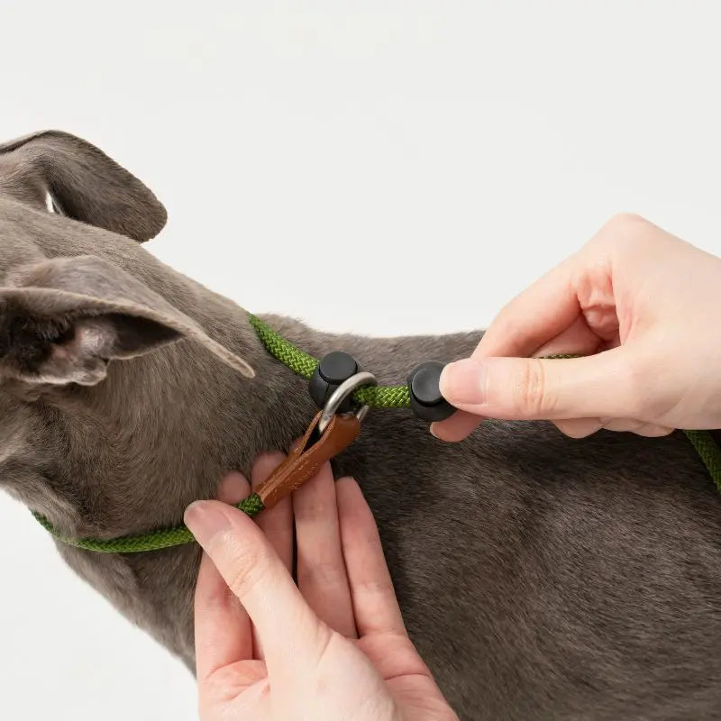 Petrkl™ CommandLoop– Premium Slip Lead Dog Leash with Leather Handle petrkl 11