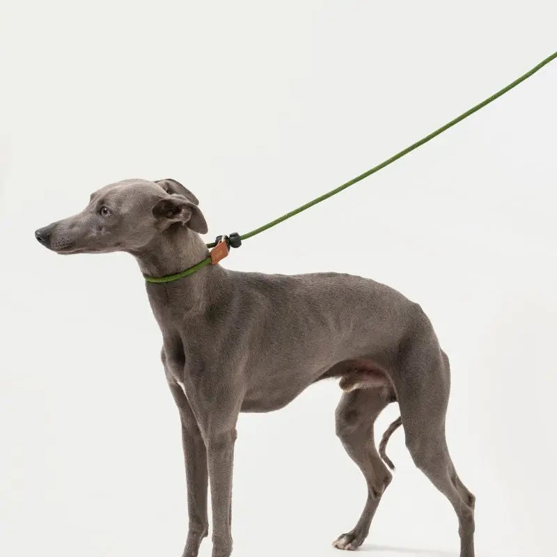 Petrkl™ CommandLoop– Premium Slip Lead Dog Leash with Leather Handle petrkl 12