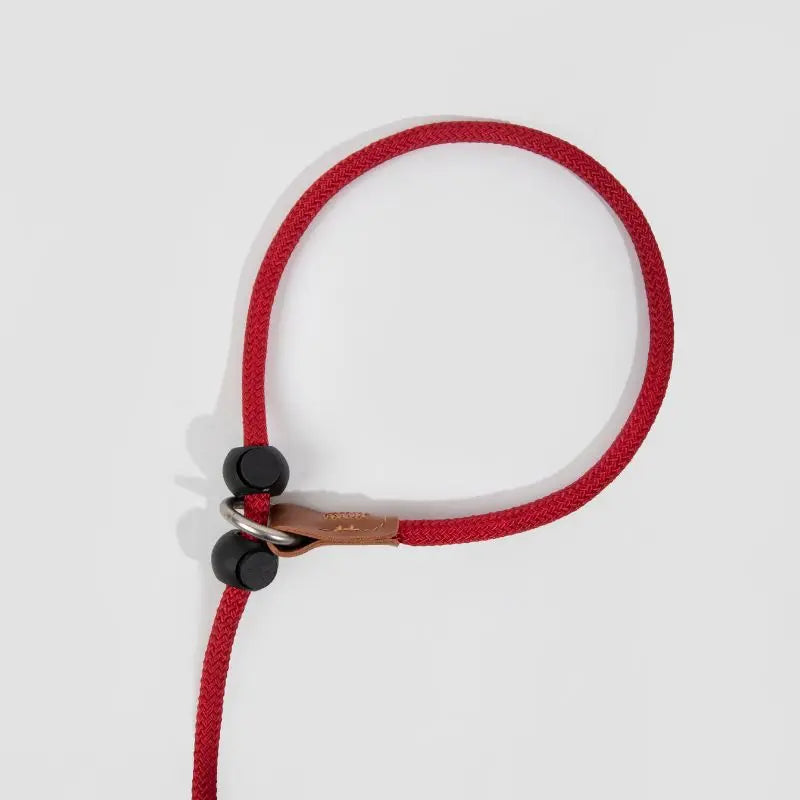 Petrkl™ CommandLoop– Premium Slip Lead Dog Leash with Leather Handle petrkl 19