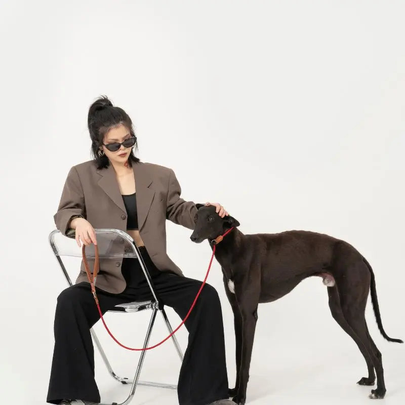 Petrkl™ CommandLoop– Premium Slip Lead Dog Leash with Leather Handle petrkl 8
