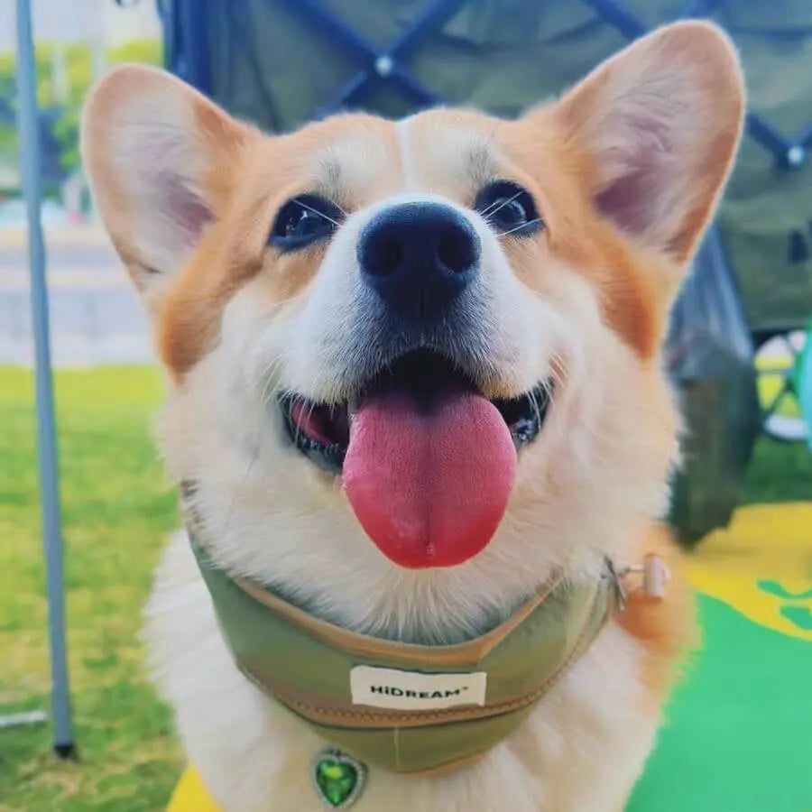 Petrkl™ CoolLoop  Petrkl  .