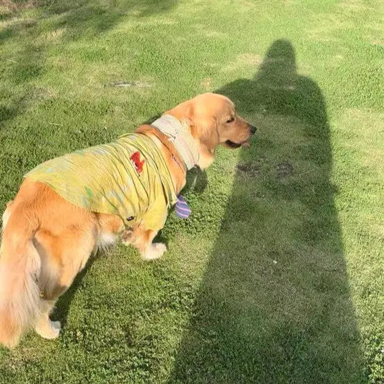 Petrkl™ CoolLoop  Petrkl  .