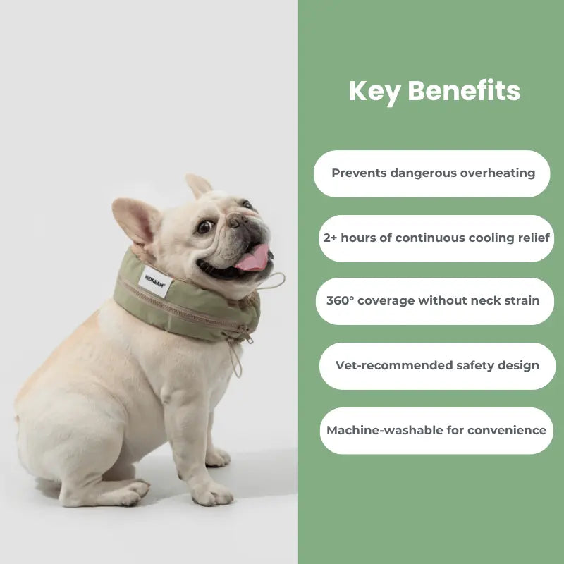 Petrkl™ CoolLoop  Petrkl  .