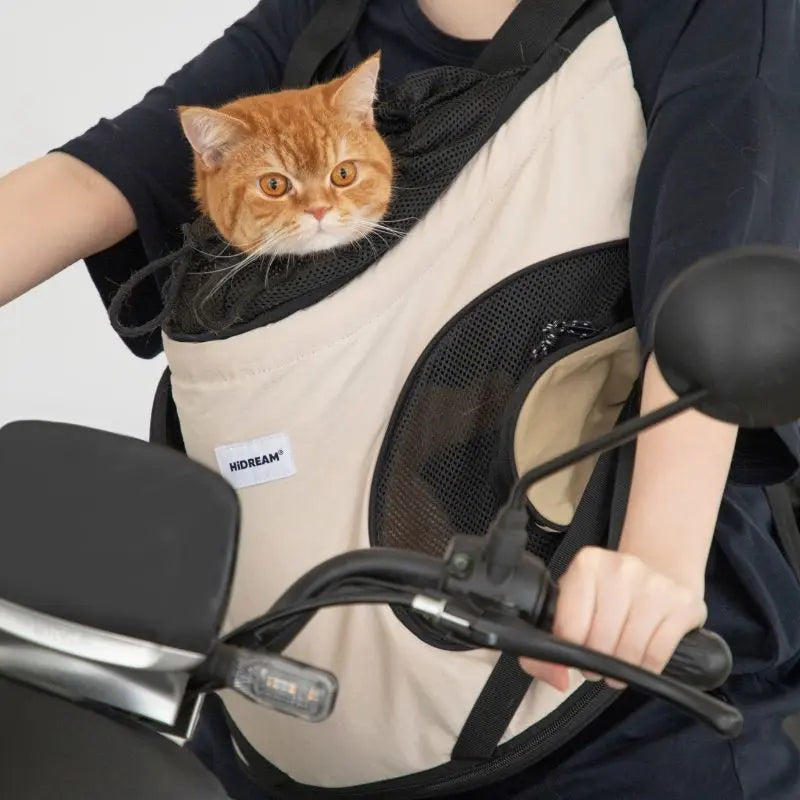 Small pet comfortably resting inside cat carrier front pack travel backpack