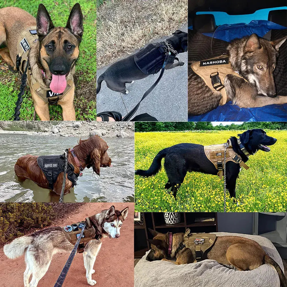 Tactical Dog Harness petrkl 15