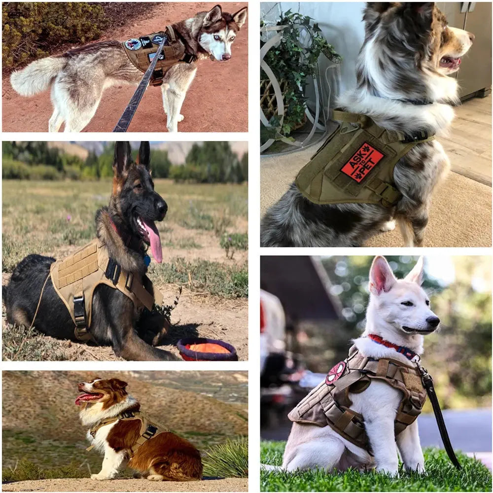 Tactical Dog Harness petrkl 26