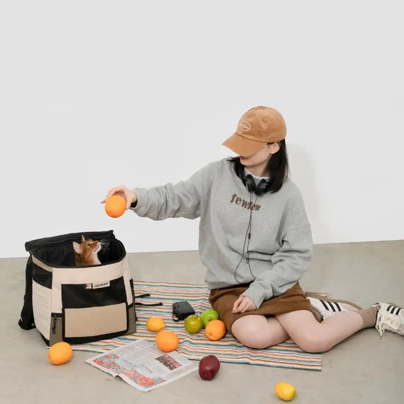 Travel Pet Carrier for Cats & Dogs – Durable & Comfortable  Petrkl  .