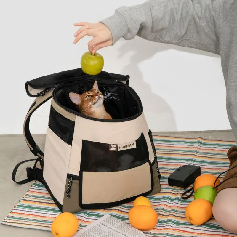 Travel Pet Carrier for Cats & Dogs – Durable & Comfortable  Petrkl  .