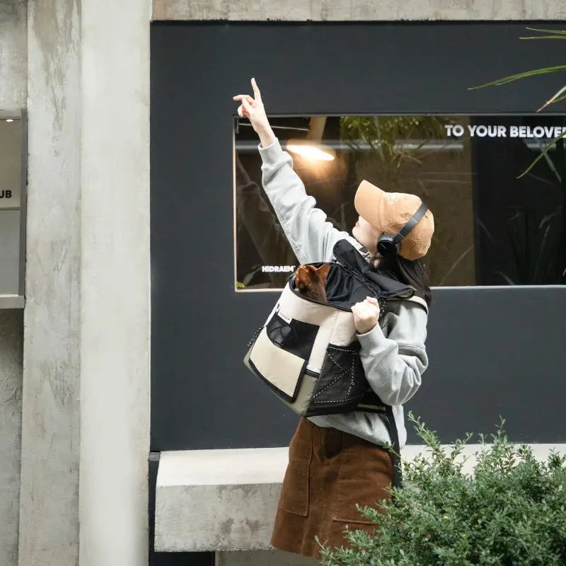 Travel Pet Carrier for Cats & Dogs – Durable & Comfortable petrkl 21