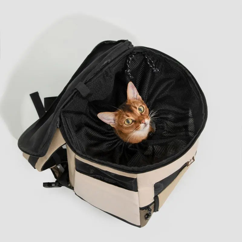 Travel Pet Carrier for Cats & Dogs – Durable & Comfortable  Petrkl  .
