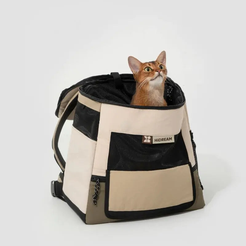 Travel Pet Carrier for Cats & Dogs – Durable & Comfortable petrkl 6