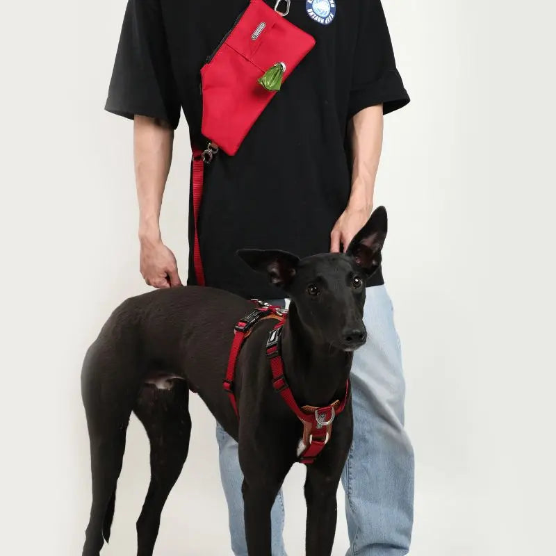 UrbanGlide Dog Harness – Hands-Free Control for Training & Walks petrkl 1
