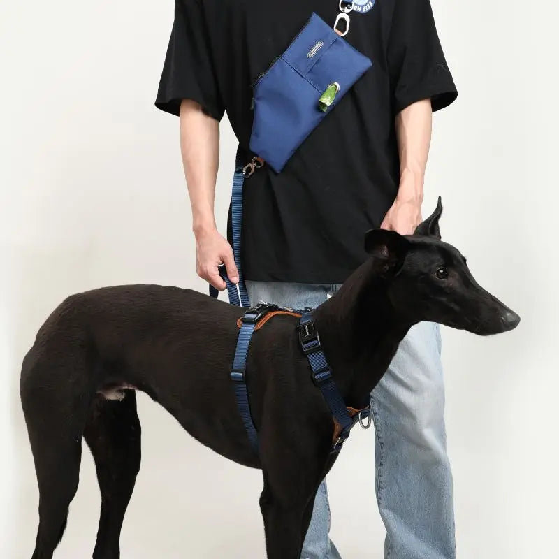 UrbanGlide Dog Harness – Hands-Free Control for Training & Walks petrkl 11