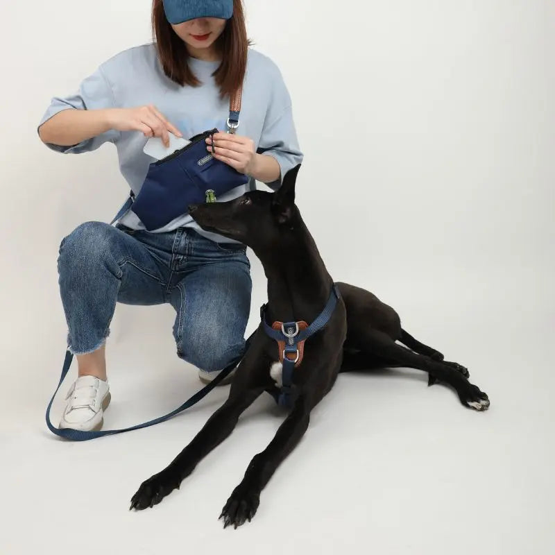 UrbanGlide Dog Harness – Hands-Free Control for Training & Walks petrkl 13