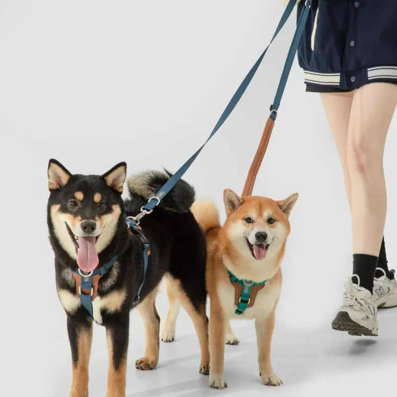 UrbanGlide Dog Harness – Hands-Free Control for Training & Walks petrkl 26