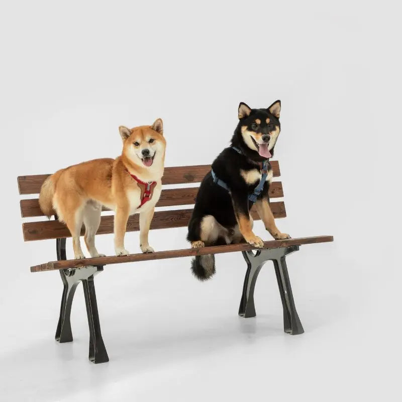 UrbanGlide Dog Harness – Hands-Free Control for Training & Walks petrkl 30