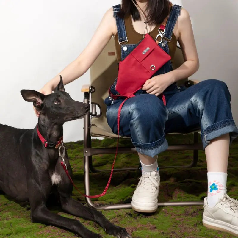 UrbanGlide Dog Harness – Hands-Free Control for Training & Walks petrkl 31