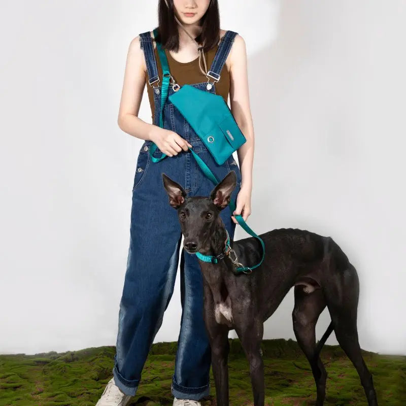 UrbanGlide Dog Harness – Hands-Free Control for Training & Walks petrkl 33