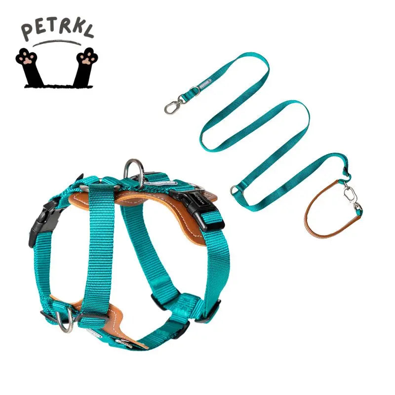 UrbanGlide Dog Harness – Hands-Free Control for Training & Walks petrkl 35