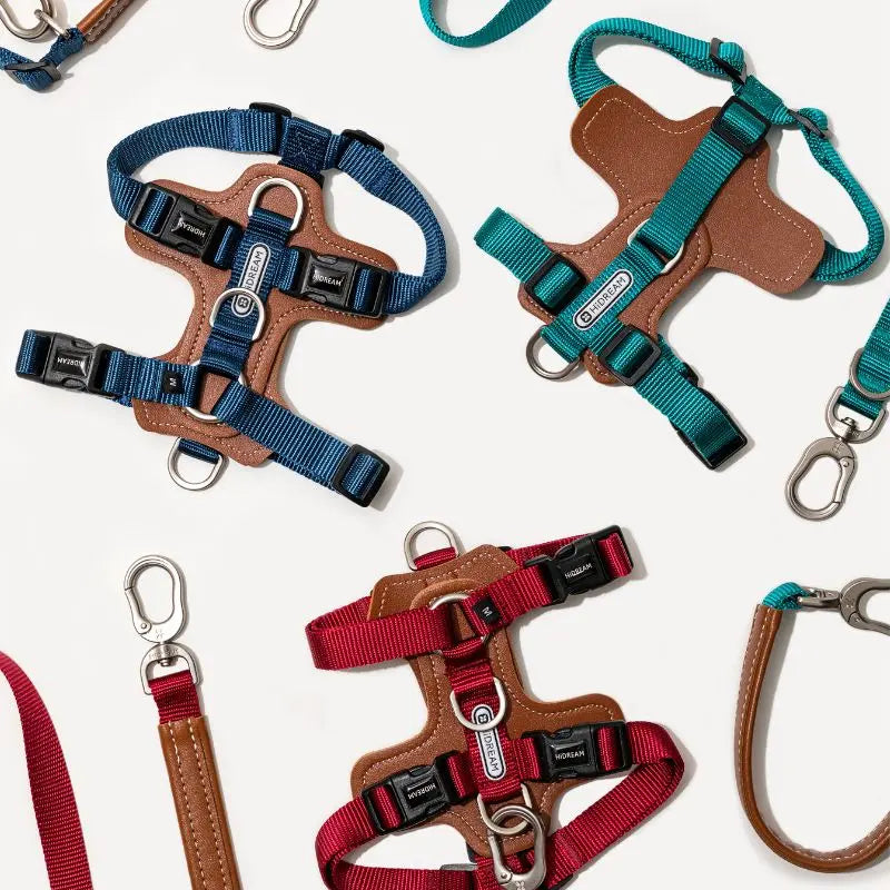 UrbanGlide Dog Harness – Hands-Free Control for Training & Walks petrkl 6