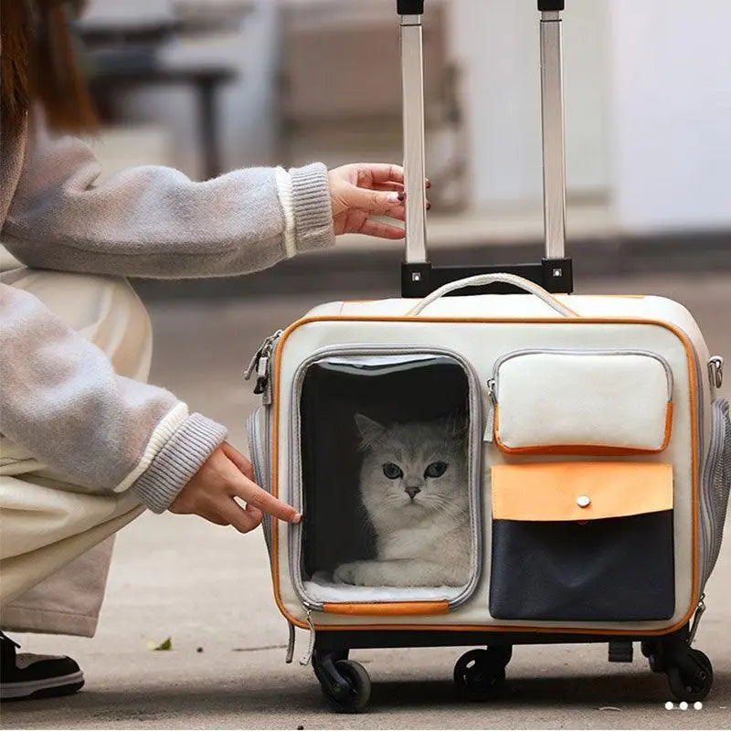 Pet Rolling Carrier Backpack With Wheels Trolley Bag  Petrkl  .