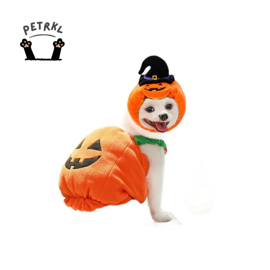 Petrkl™ Pumpkin Pet Halloween Costume Petrkl