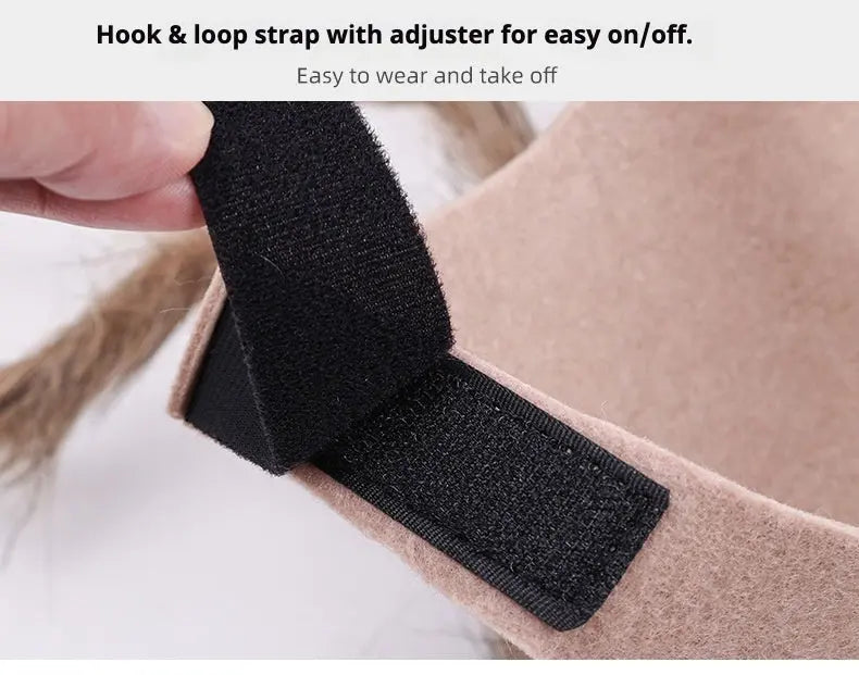 Petrkl™ Spooky Spider Pet Costume for Dogs & Cats Petrkl