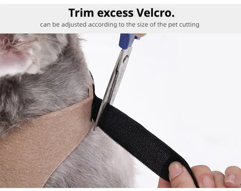 Petrkl™ Spooky Spider Pet Costume for Dogs & Cats Petrkl