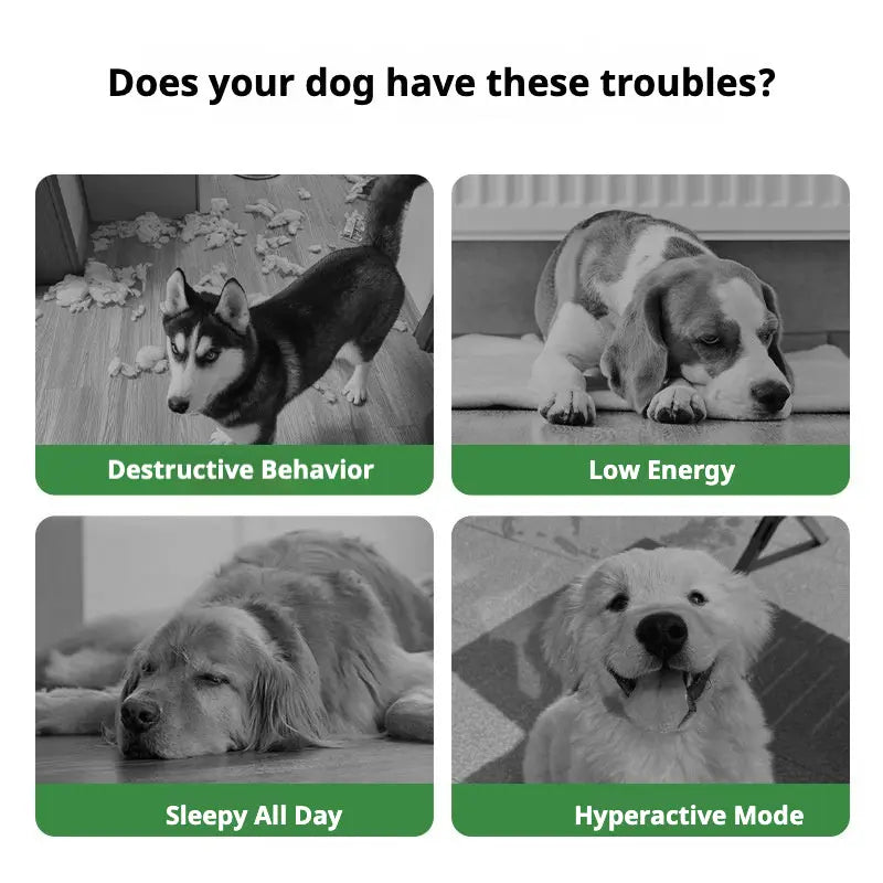 Petrkl™ PawKick – Interactive Dog Soccer Ball with Straps Petrkl