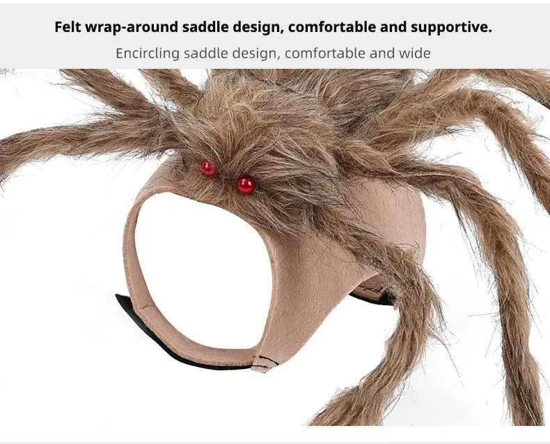 Petrkl™ Spooky Spider Pet Costume for Dogs & Cats Petrkl