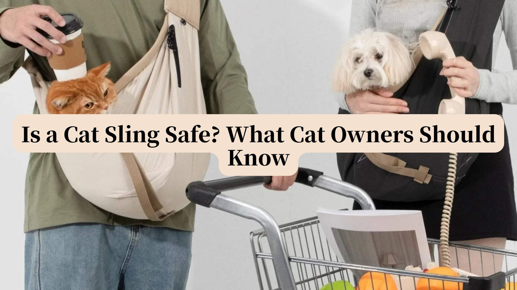 cat sling