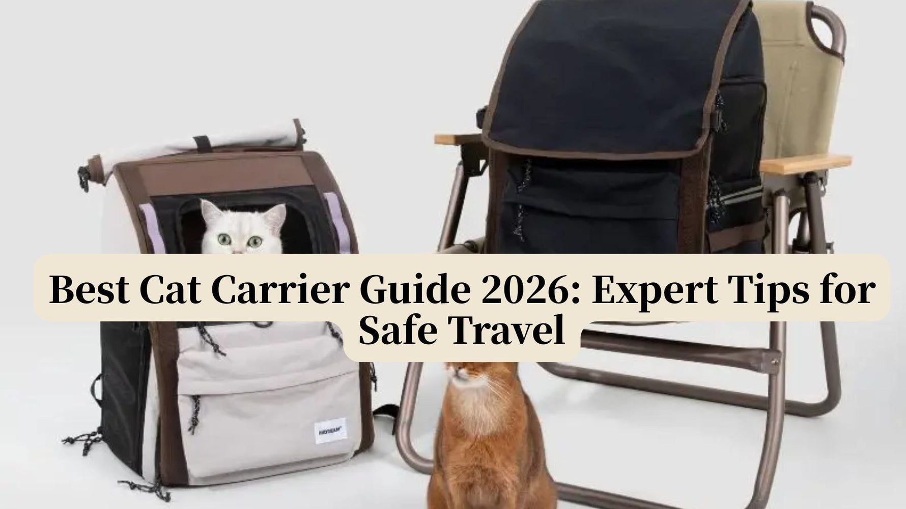 Best Cat Carrier Guide 2026: Expert Tips for Safe Travel