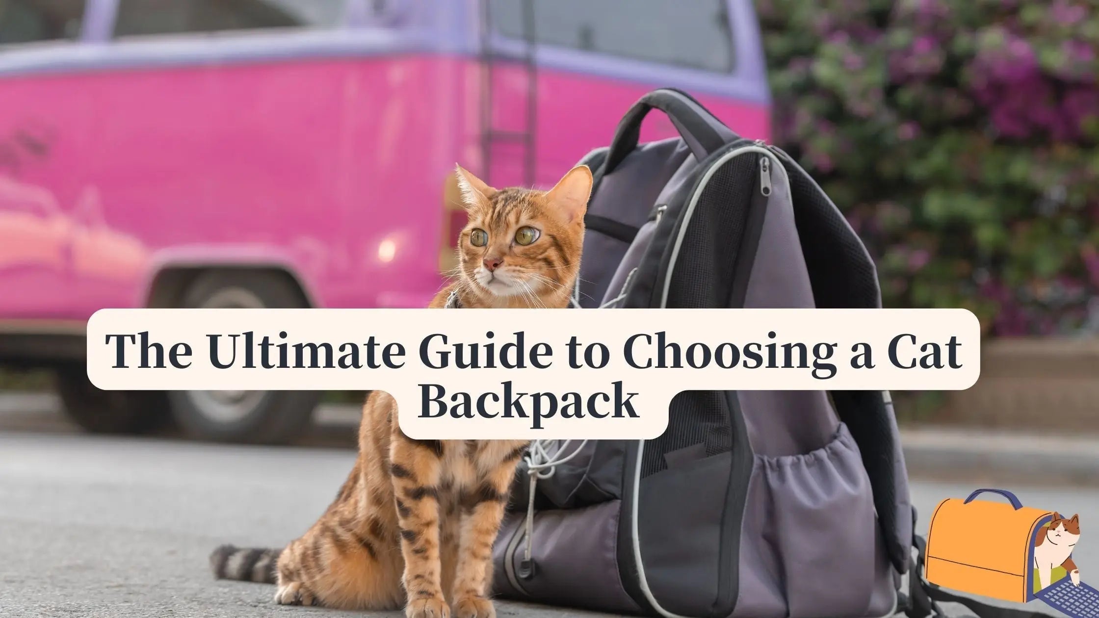 The Ultimate Guide to Choosing a Cat Backpack Your Feline Will Actually Love