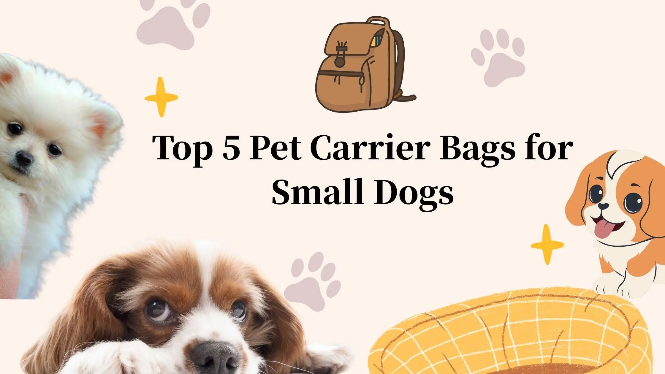 Top-5-Pet-Carrier-Bags-for-Small-Dogs Petrkl