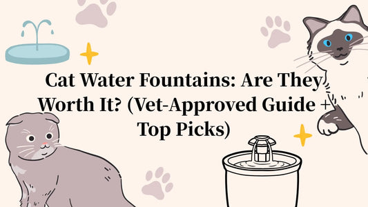 Petrkl™ PureFlow stainless steel cat water fountain with triple filtration