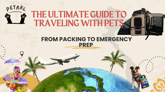 The Ultimate Guide to Traveling with Pets: From Packing to Emergency Prep